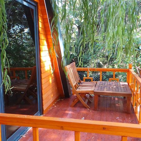 Trinitys Forest Bungalows Кемер Екстер'єр фото