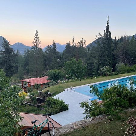 Trinitys Forest Bungalows Кемер Екстер'єр фото