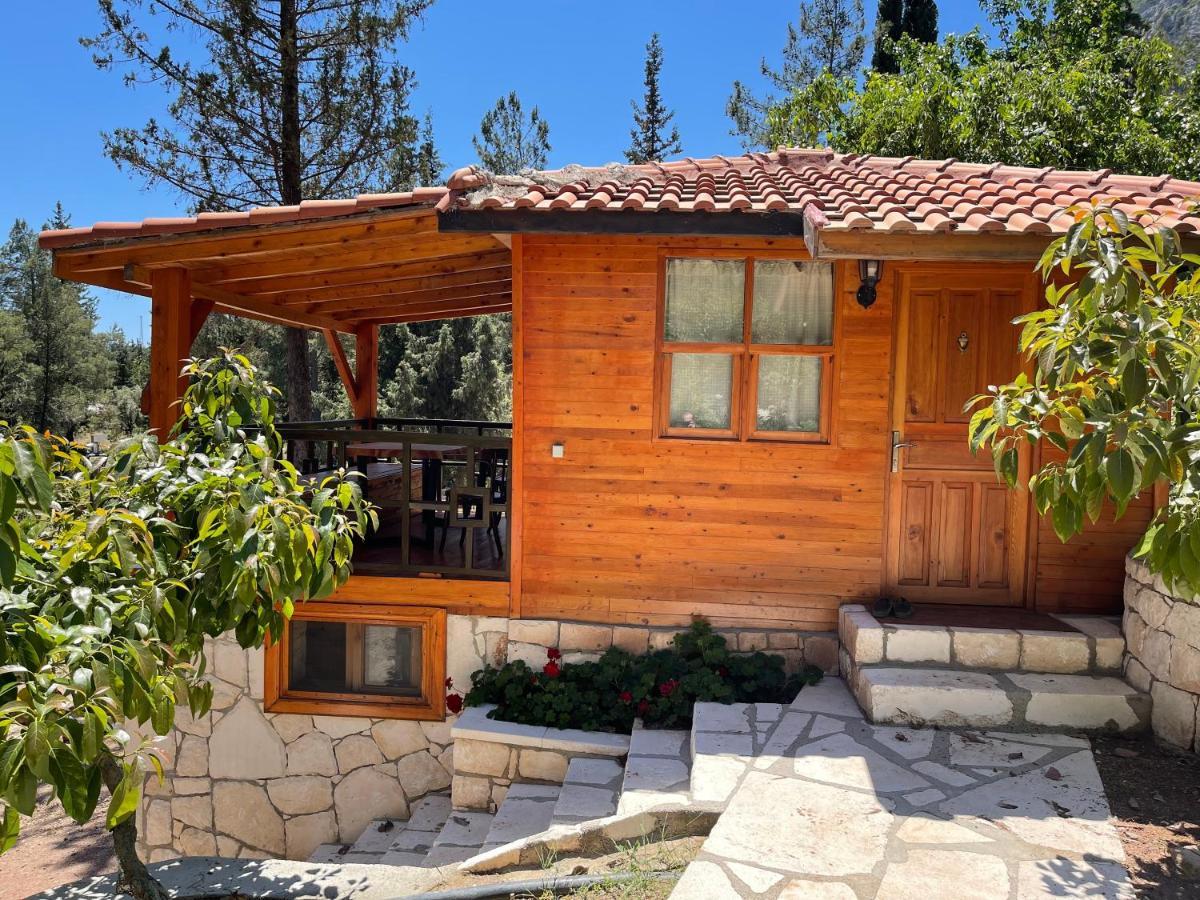 Trinitys Forest Bungalows Кемер Екстер'єр фото