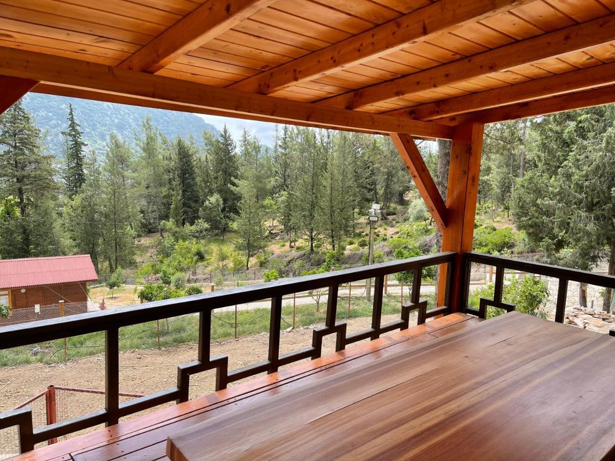 Trinitys Forest Bungalows Кемер Екстер'єр фото