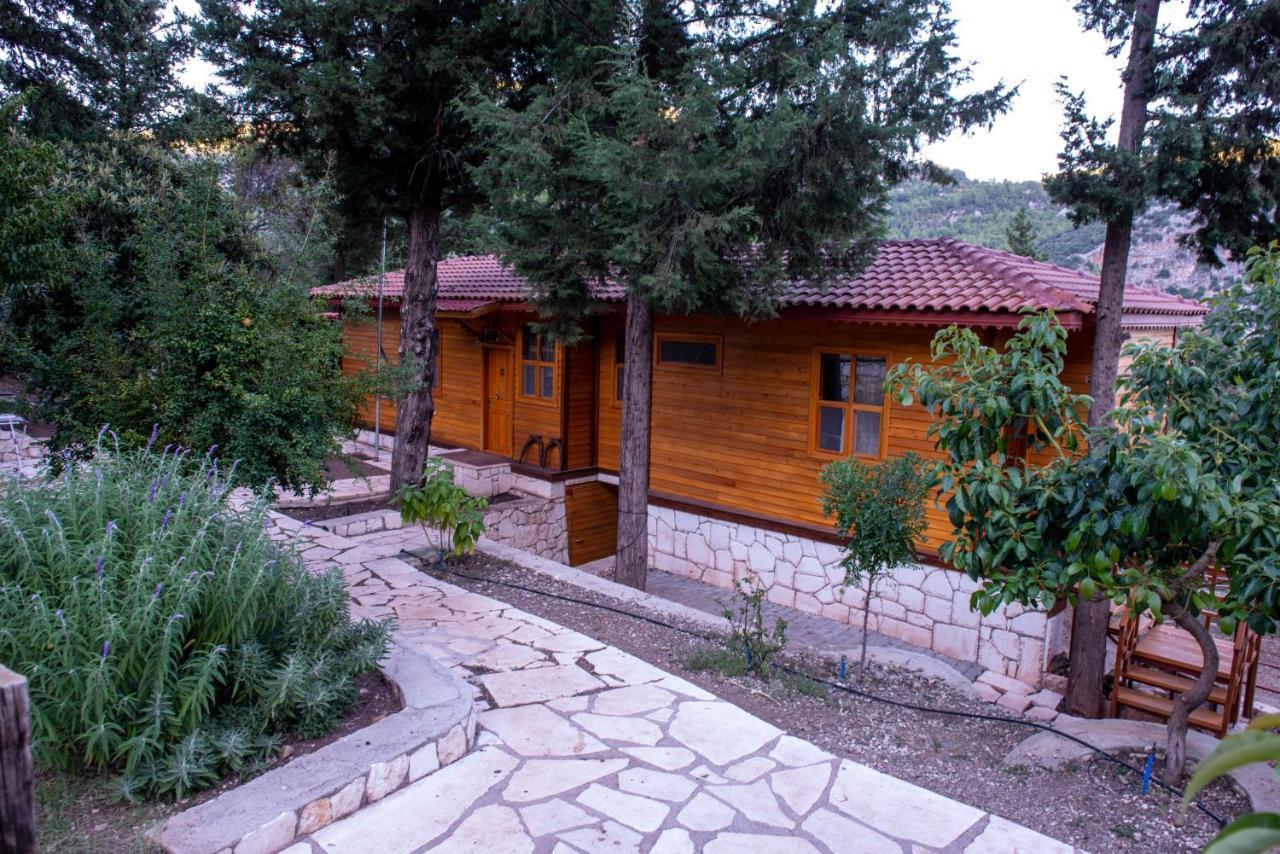 Trinitys Forest Bungalows Кемер Екстер'єр фото