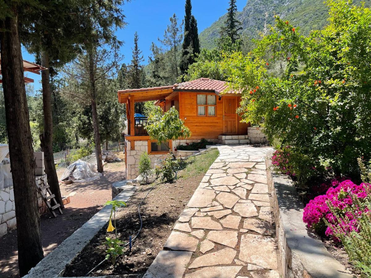 Trinitys Forest Bungalows Кемер Екстер'єр фото
