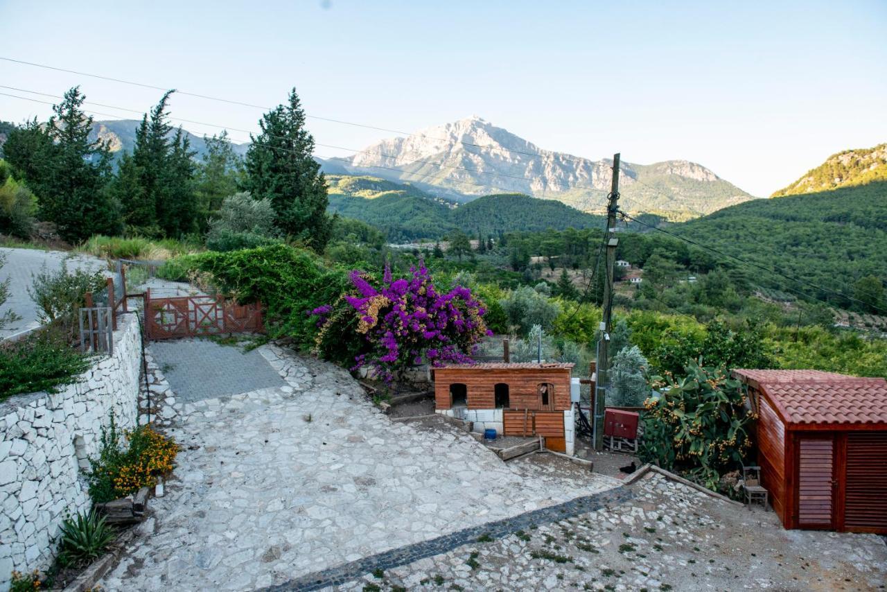 Trinitys Forest Bungalows Кемер Екстер'єр фото