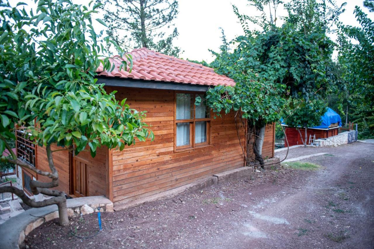 Trinitys Forest Bungalows Кемер Екстер'єр фото