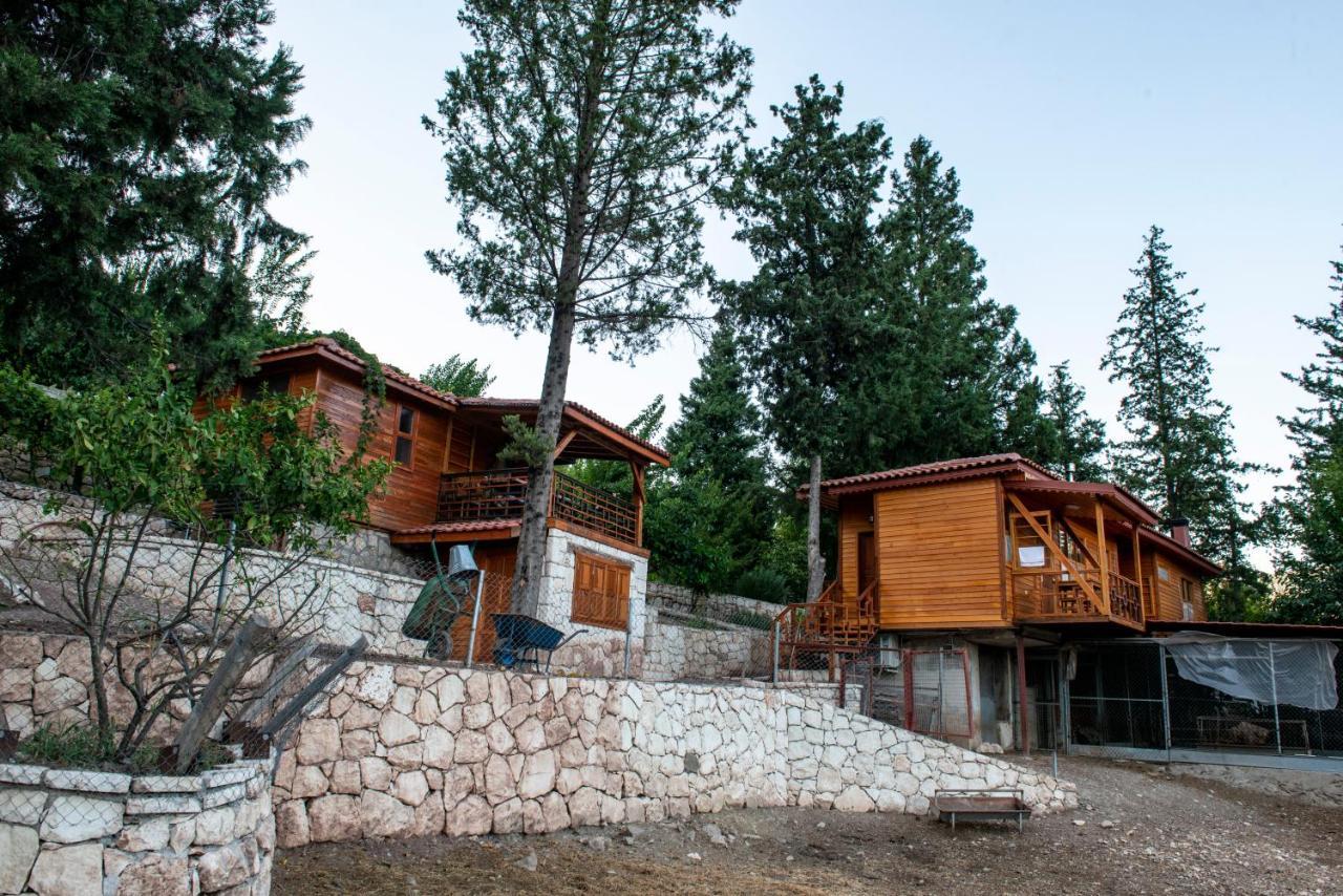 Trinitys Forest Bungalows Кемер Екстер'єр фото