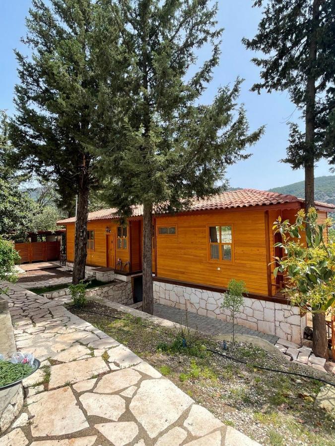 Trinitys Forest Bungalows Кемер Екстер'єр фото
