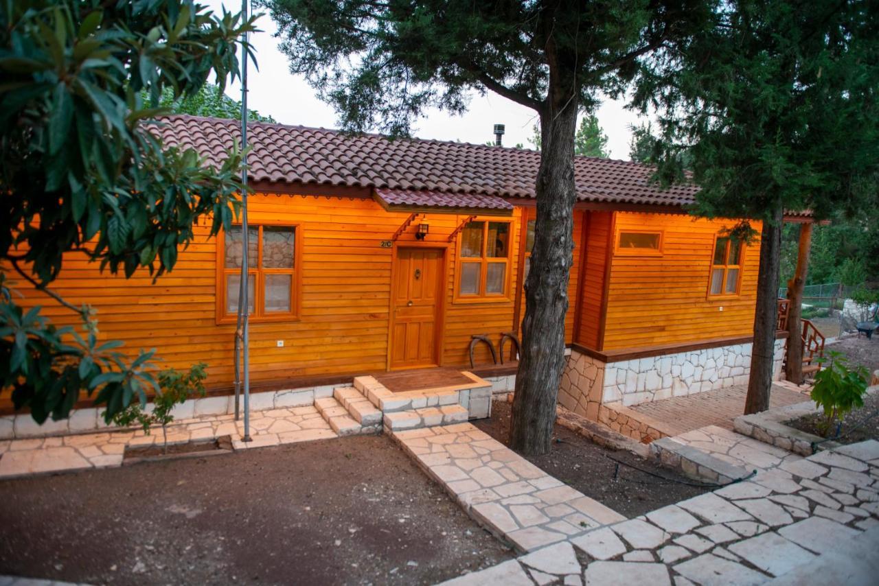 Trinitys Forest Bungalows Кемер Екстер'єр фото