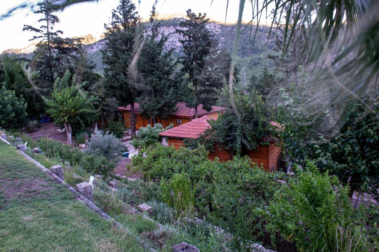 Trinitys Forest Bungalows Кемер Екстер'єр фото