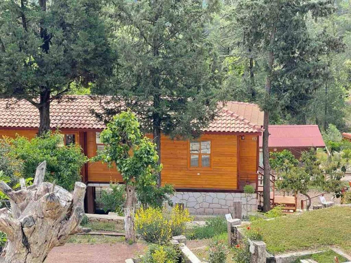 Trinitys Forest Bungalows Кемер Екстер'єр фото
