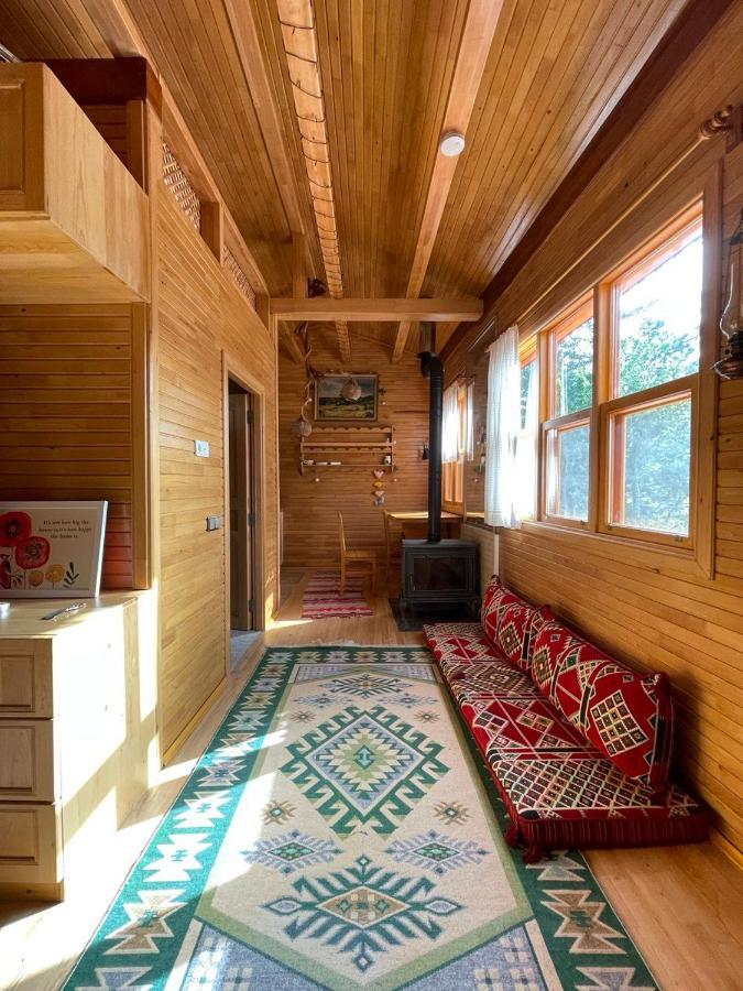 Trinitys Forest Bungalows Кемер Екстер'єр фото