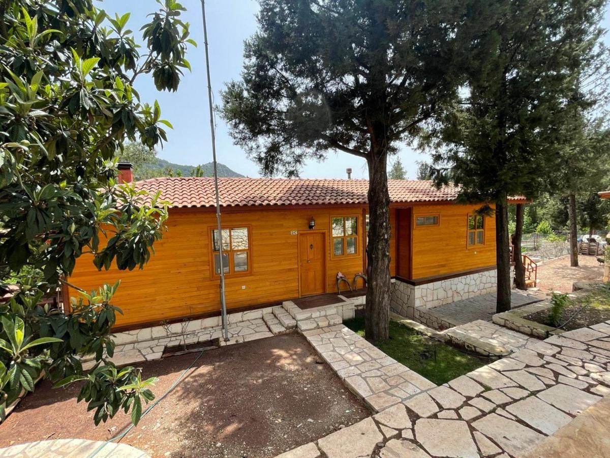 Trinitys Forest Bungalows Кемер Екстер'єр фото