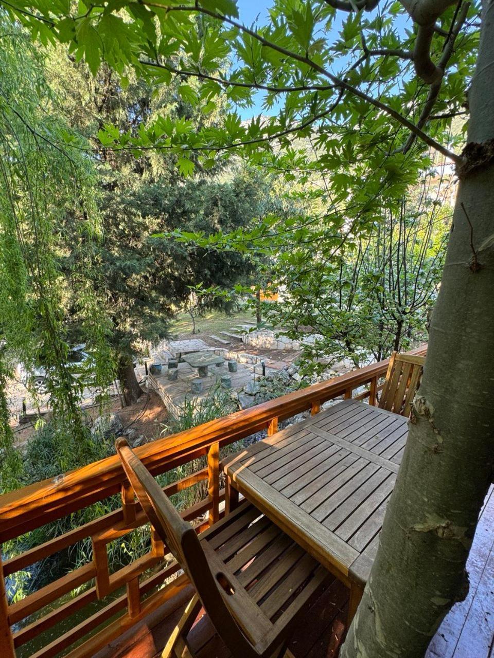 Trinitys Forest Bungalows Кемер Екстер'єр фото