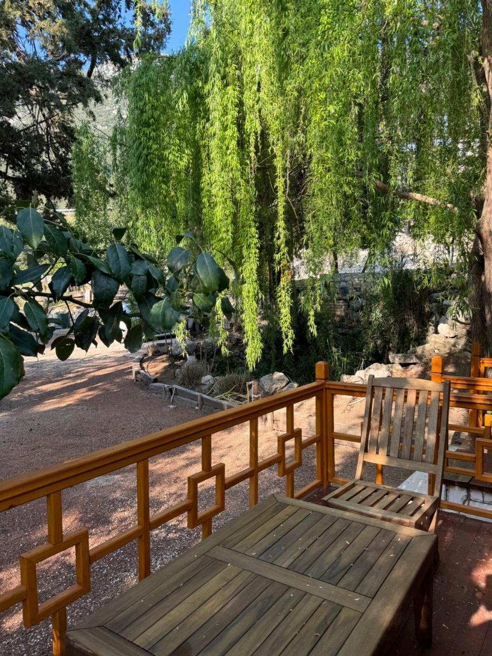 Trinitys Forest Bungalows Кемер Екстер'єр фото