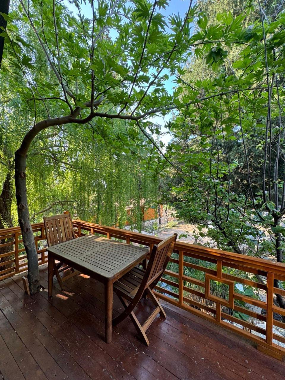 Trinitys Forest Bungalows Кемер Екстер'єр фото