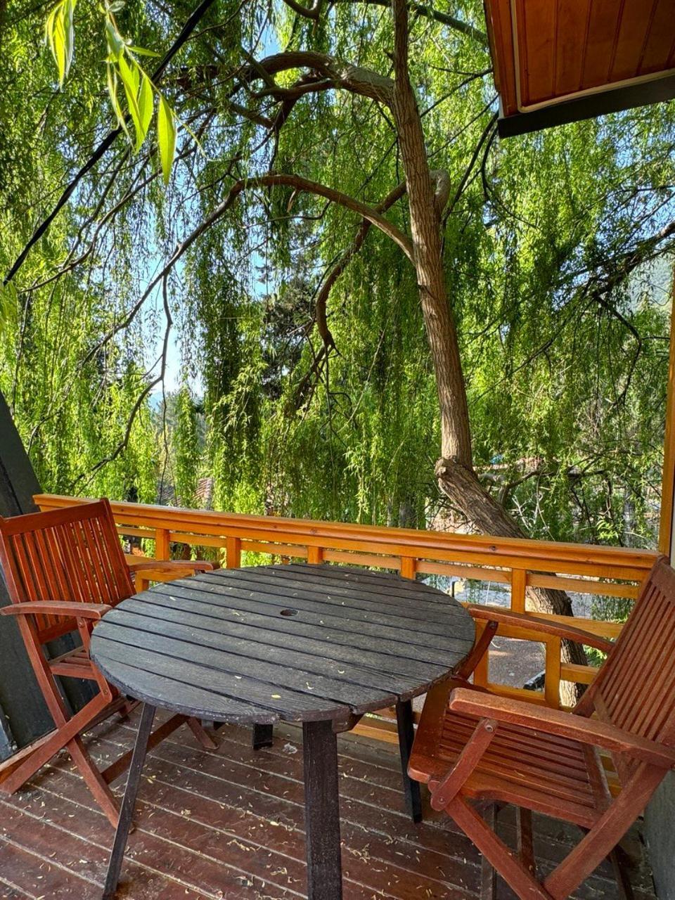 Trinitys Forest Bungalows Кемер Екстер'єр фото
